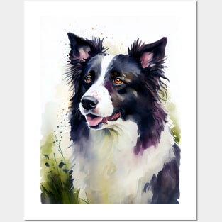 Watercolor Border Collie Portrait Posters and Art